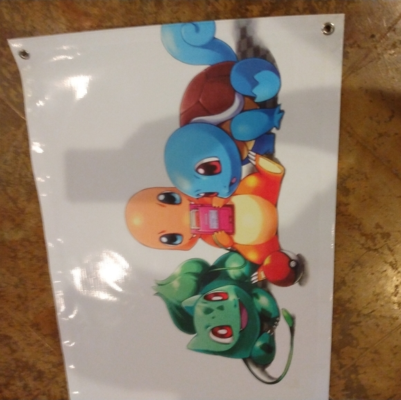 Pokemon Vinyl Banner - Picture 3 of 4